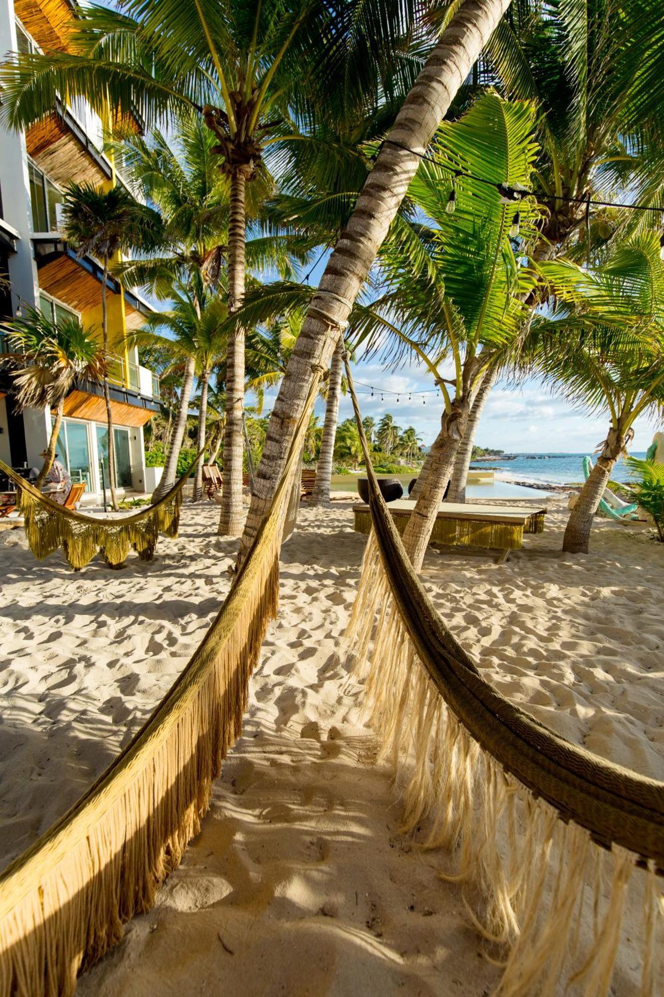 Angelina 28 Beachfront And Family Apartments - Modern And Relaxing Long Stays - 20 Min From Cancun Airport Puerto Morelos Eksteriør billede