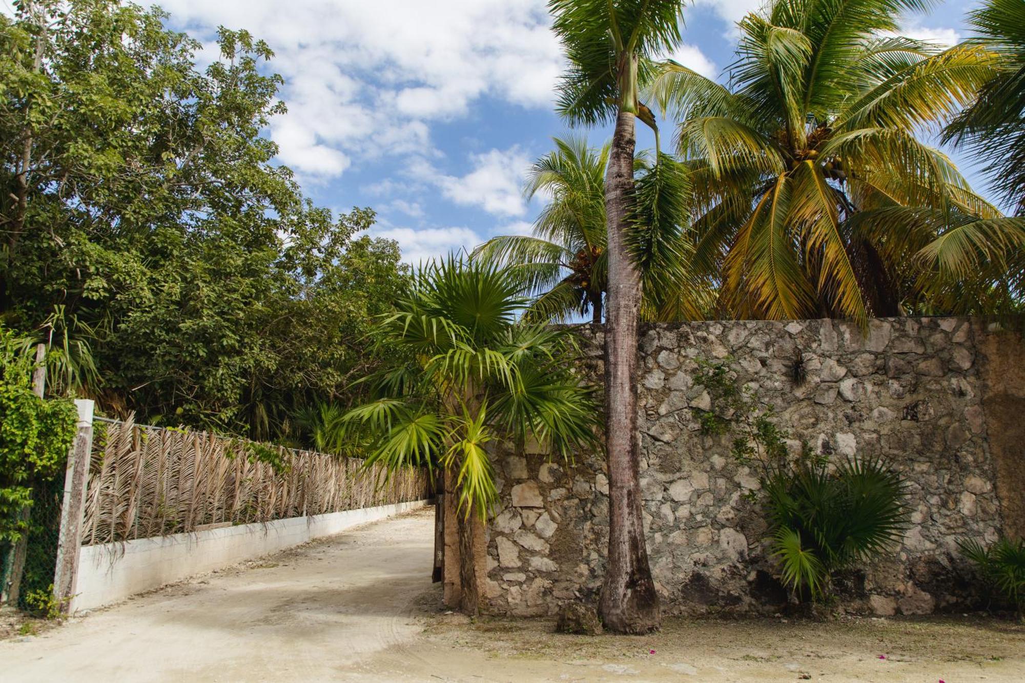 Angelina 28 Beachfront And Family Apartments - Modern And Relaxing Long Stays - 20 Min From Cancun Airport Puerto Morelos Eksteriør billede
