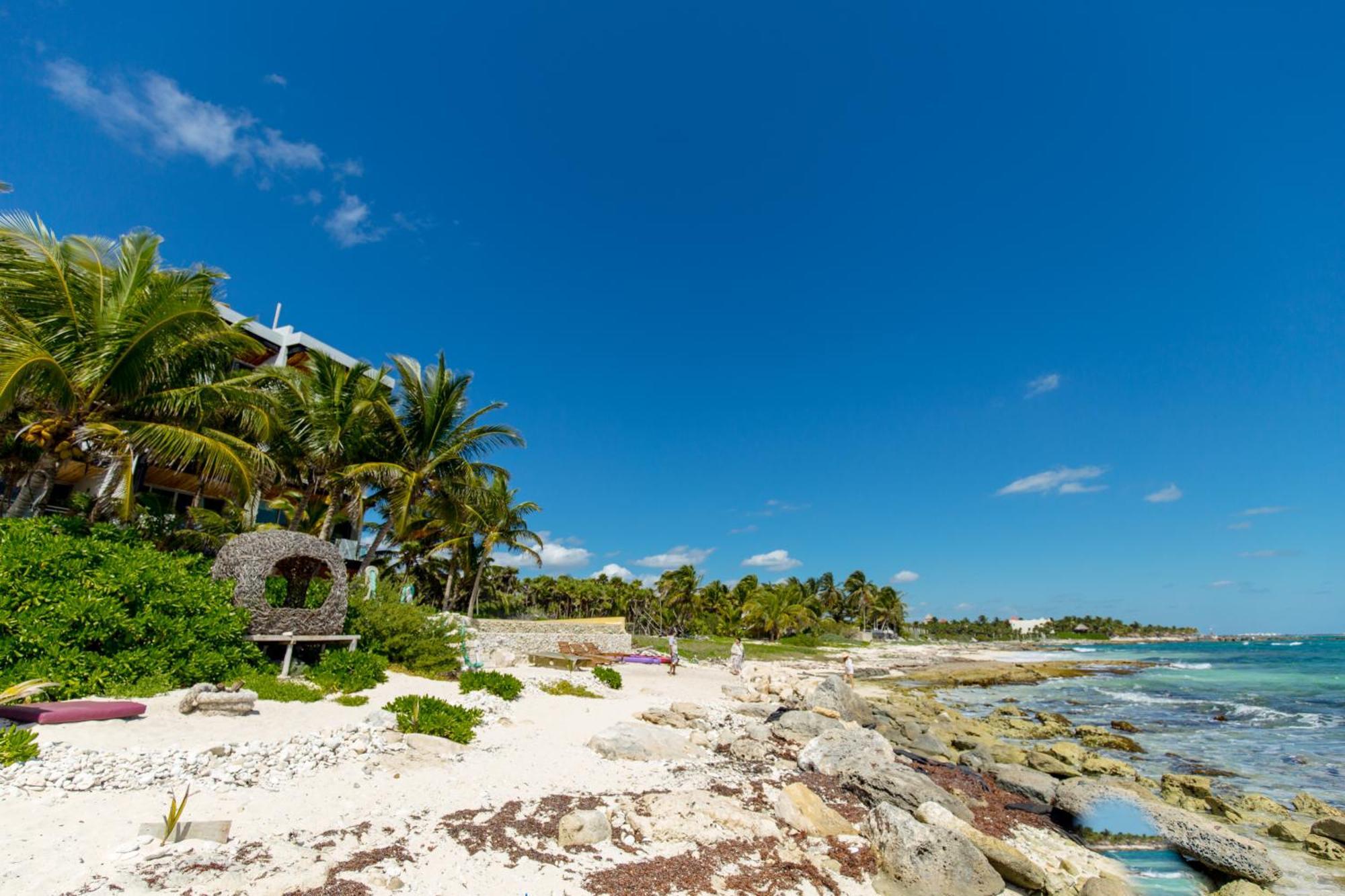 Angelina 28 Beachfront And Family Apartments - Modern And Relaxing Long Stays - 20 Min From Cancun Airport Puerto Morelos Eksteriør billede